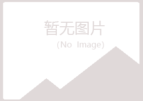 绥中县女孩会计有限公司